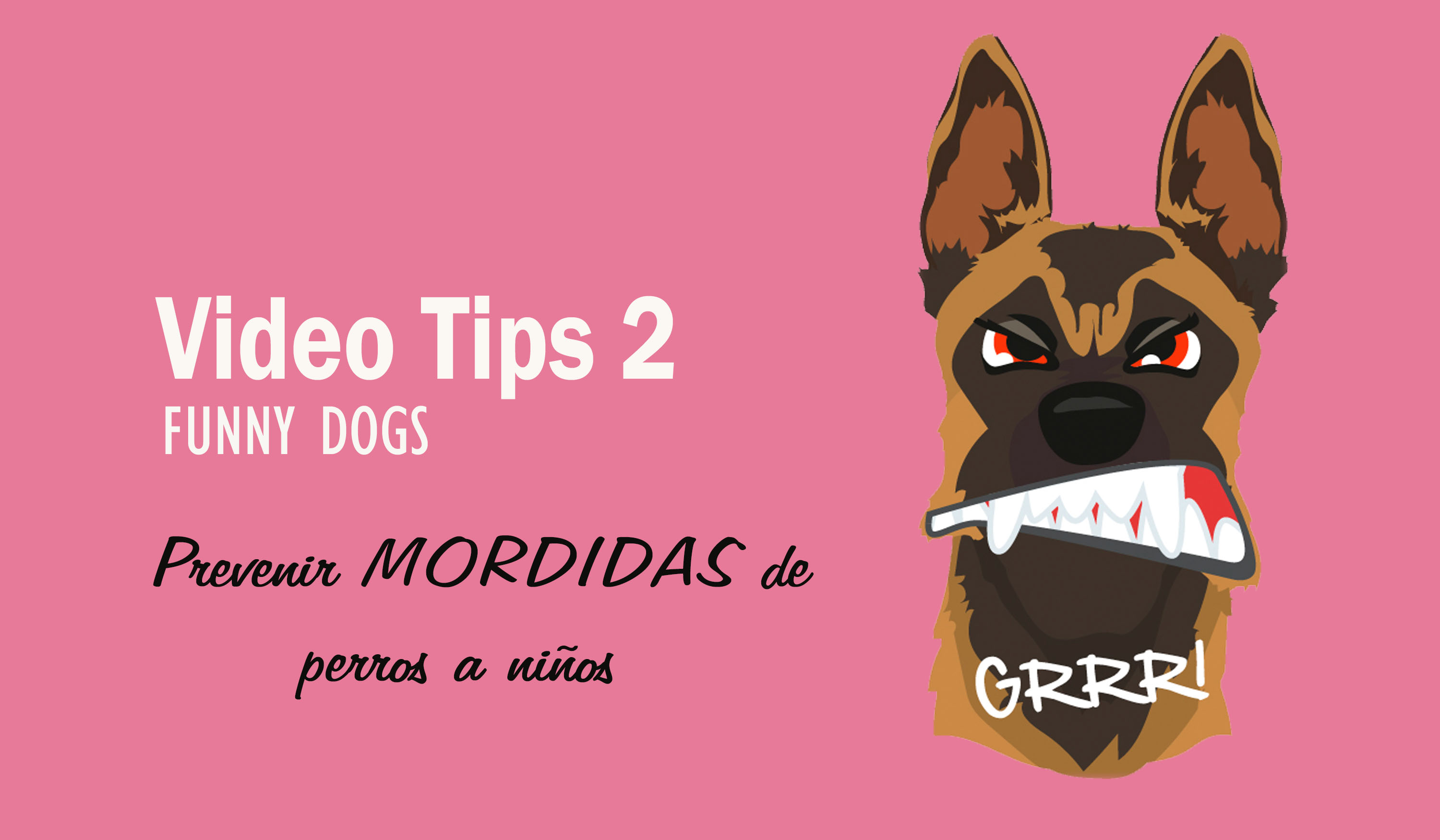 Prevenir mordidas a Niños FUNNY DOGS