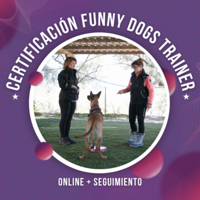 Cert. FDTRAINER - Onl + Seg