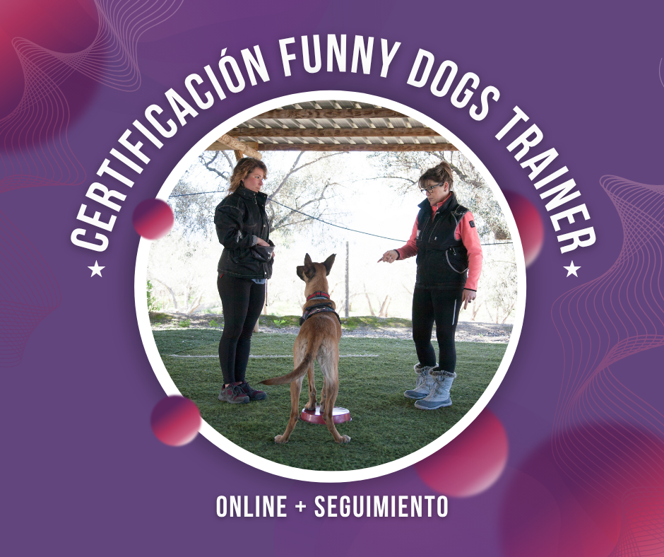 Cert. FDTRAINER - Onl + Seg