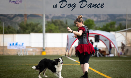 DE LAS HABILIDADES AL DOG DANCE