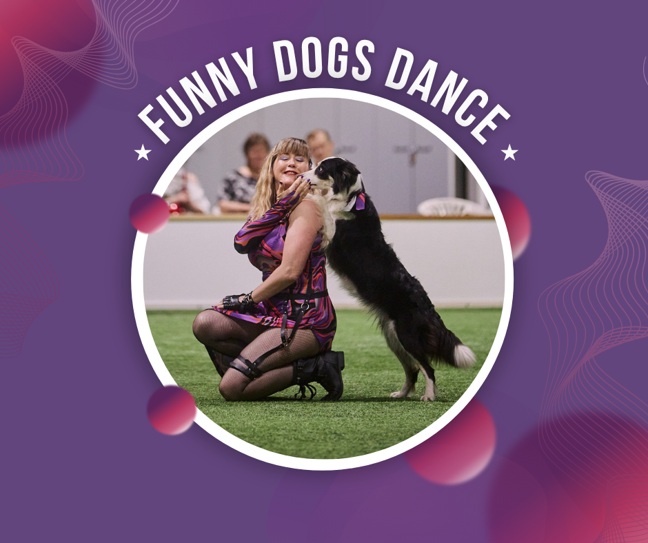 DE LAS HABILIDADES AL DOG DANCE