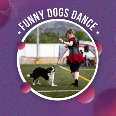 DE LAS HABILIDADES AL DOG DANCE