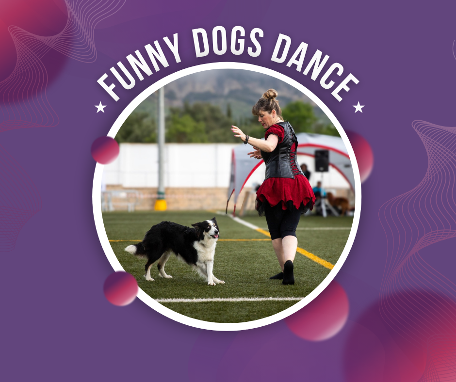 DE LAS HABILIDADES AL DOG DANCE